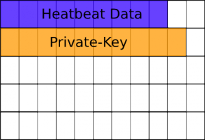 Schematische Darstellung des Speicherbereichs in Blöcken von OpenSSL, mit Private-Key und Heartbeat Daten